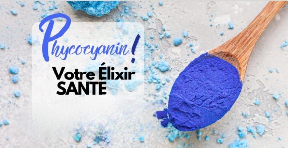 La Phycocyanine